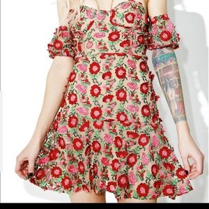 For love and lemonsDress